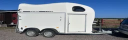 Hästtransporter  fordon & transport till salu: 1,5 hästarssläp för B-körkort - Annons 1