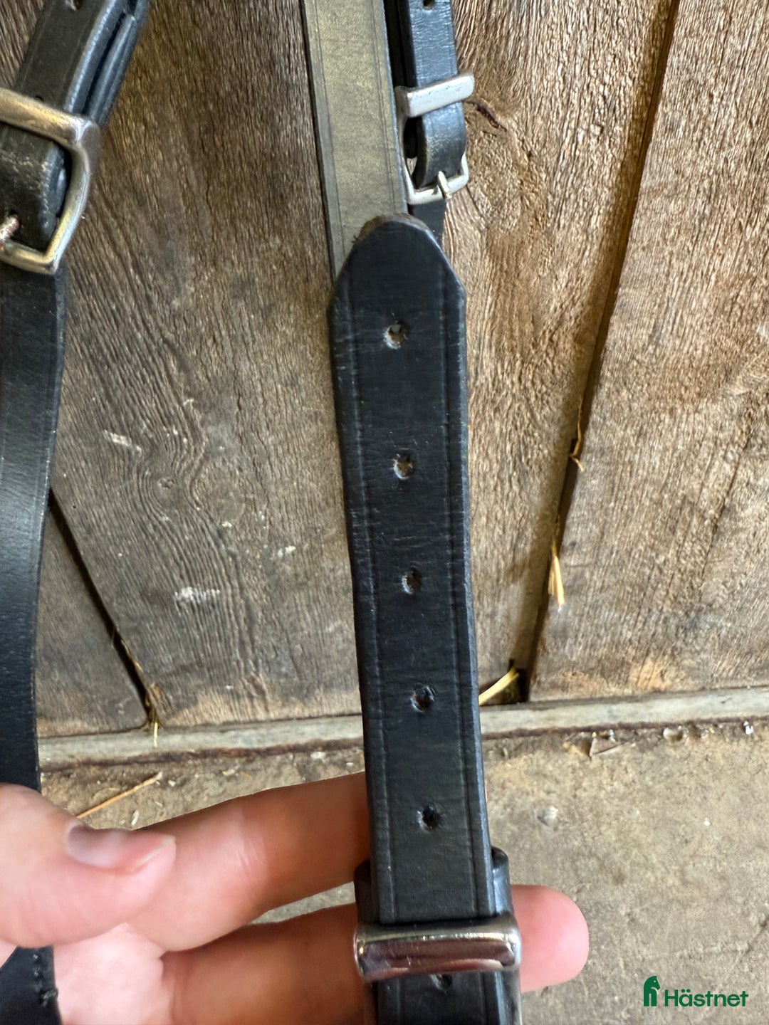 Sadeltillbehör hästutrustning till salu: Förbygel i Ekerö - Annons 3