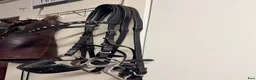 Träns hästutrustning till salu: Komplett hackamore - Annons 1