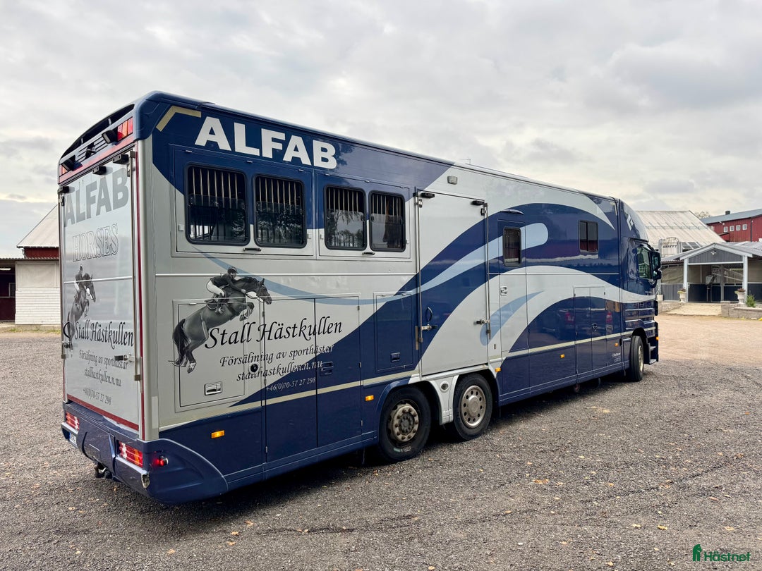 Hästlastbilar  fordon & transport till salu: Hästlastbil ketter i Åtvidaberg - Annons 14