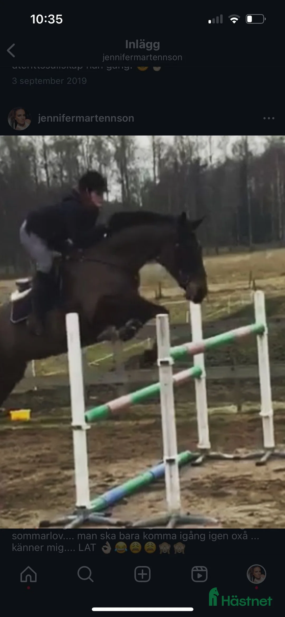 Fälttävlan hästar till salu: Min stjärna  - Annons 8