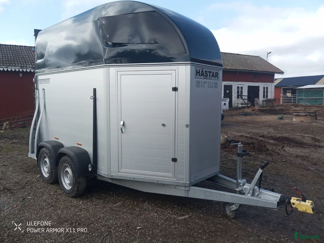 Hästtransporter  fordon & transport till salu: Sirius S75 År 2021 i Sala - Annons 4