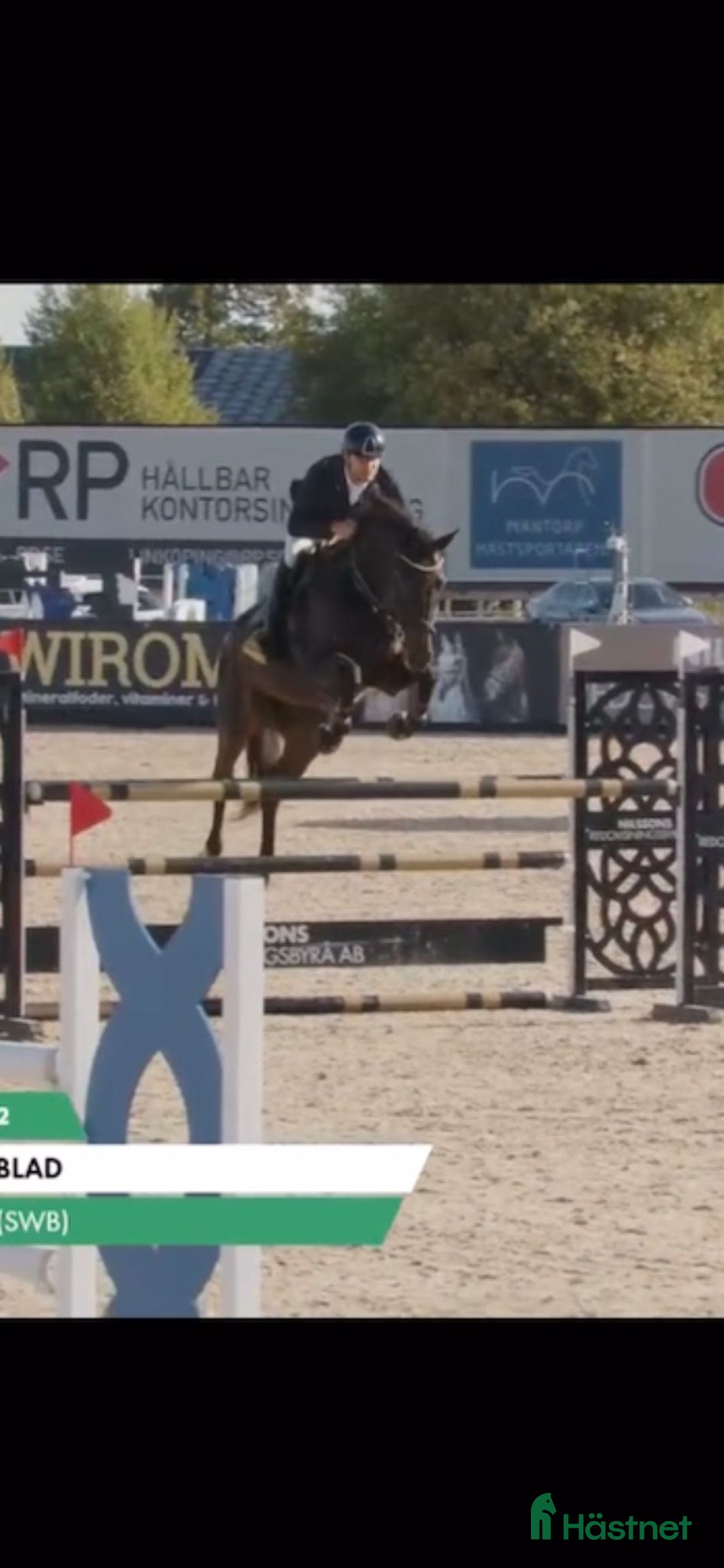 Hoppning hästar till salu: 2 fina kvalitetshästar i Söderköping - Annons 2