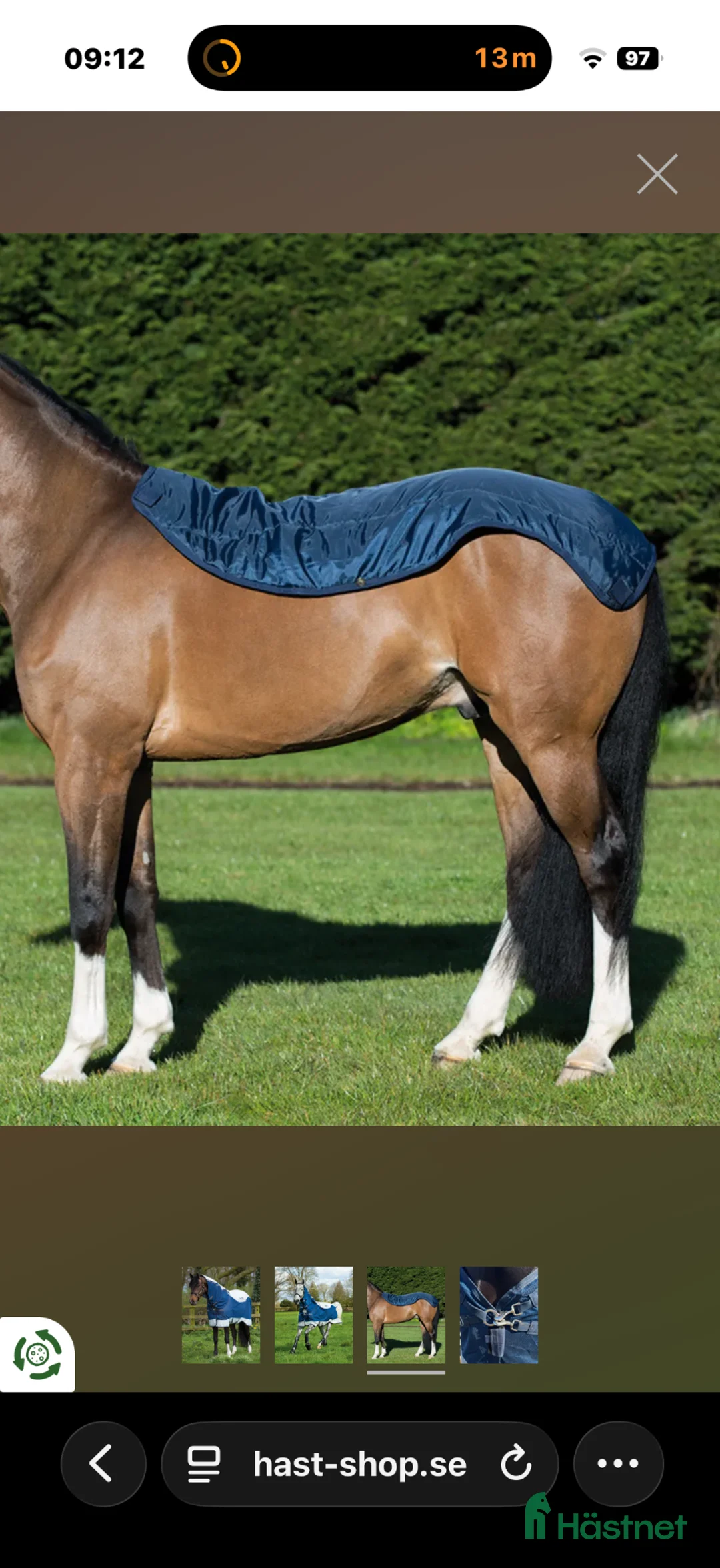Täcken hästutrustning till salu: Rambo, flugtäcke, summer serie - Annons 15