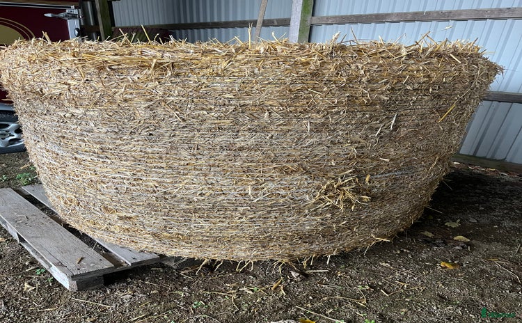 Stallinredning, stängsel & gård övrig utrustning till salu i Kågeröd - Annons 10