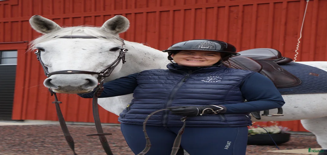 Galleribild {{count}}