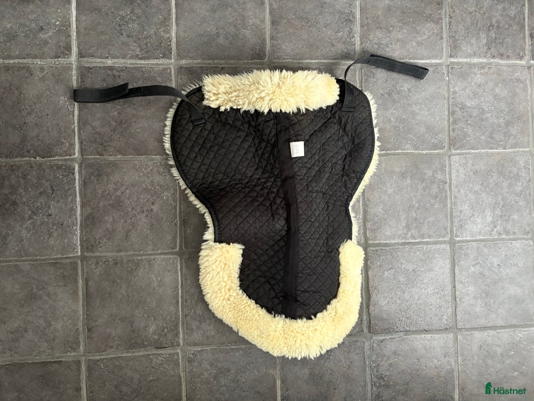 Sadeltillbehör hästutrustning till salu: Diverse sadeltillbehör säljes i Fjälkinge - Annons 1