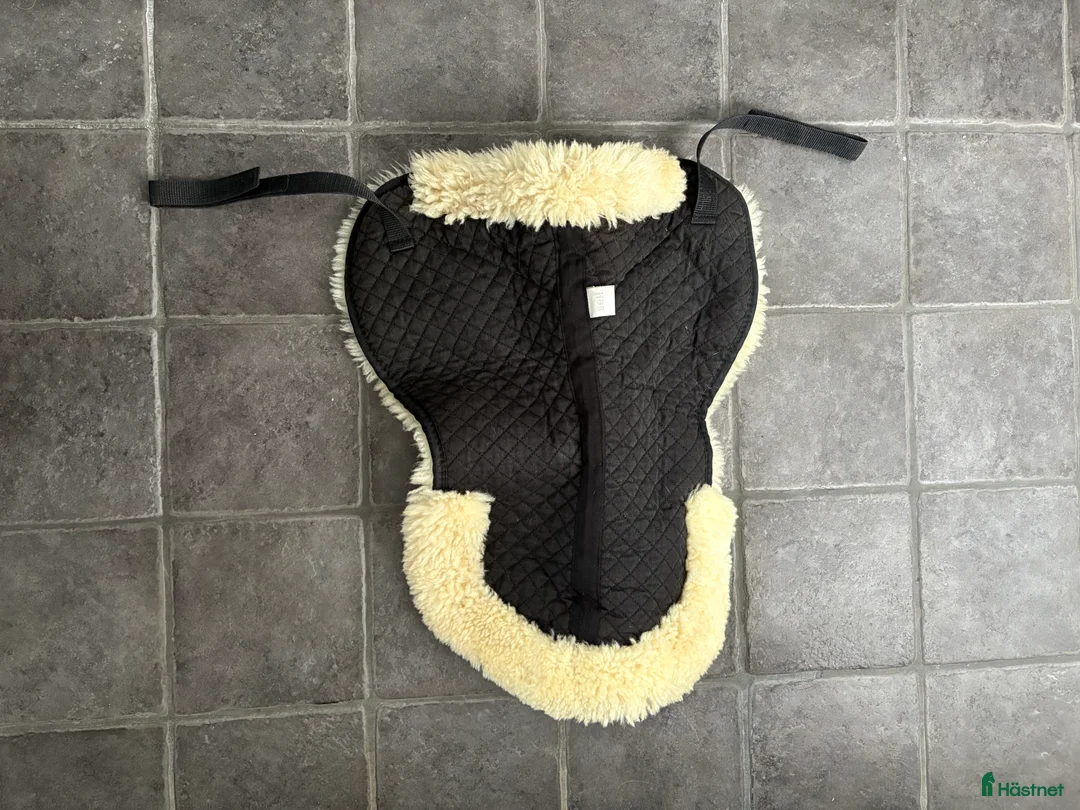 Sadeltillbehör hästutrustning till salu: Diverse sadeltillbehör säljes i Fjälkinge - Annons 1