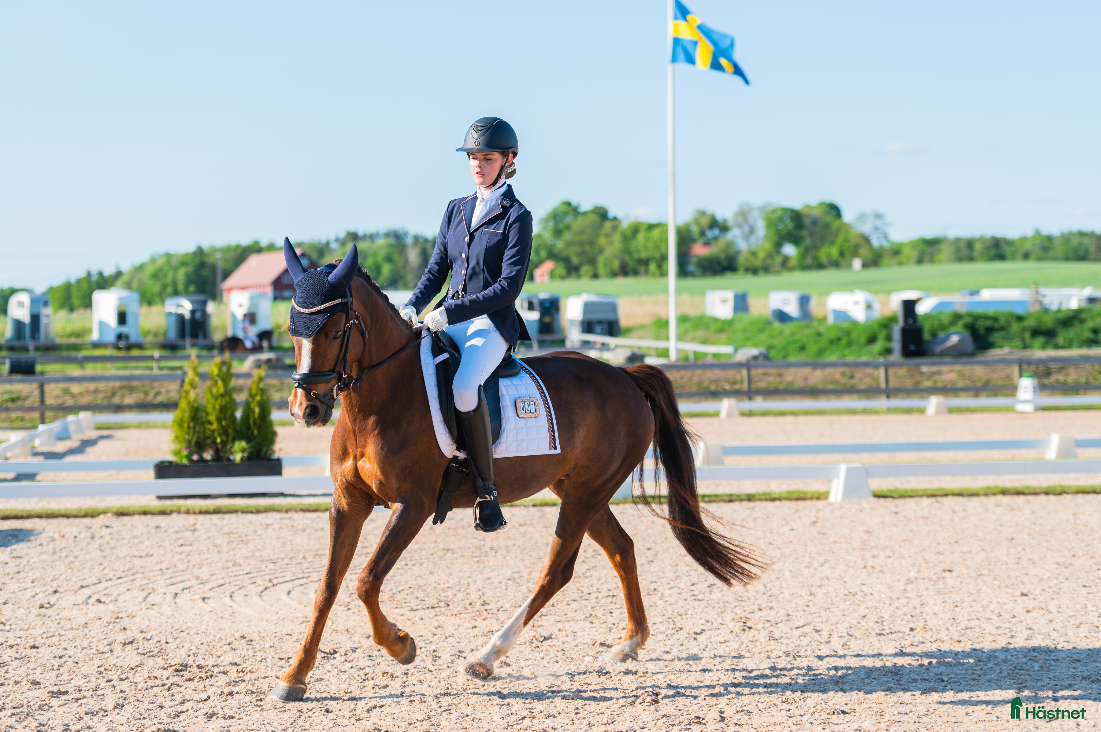  hästar Dressyrponny med utstrålning - Annons 15