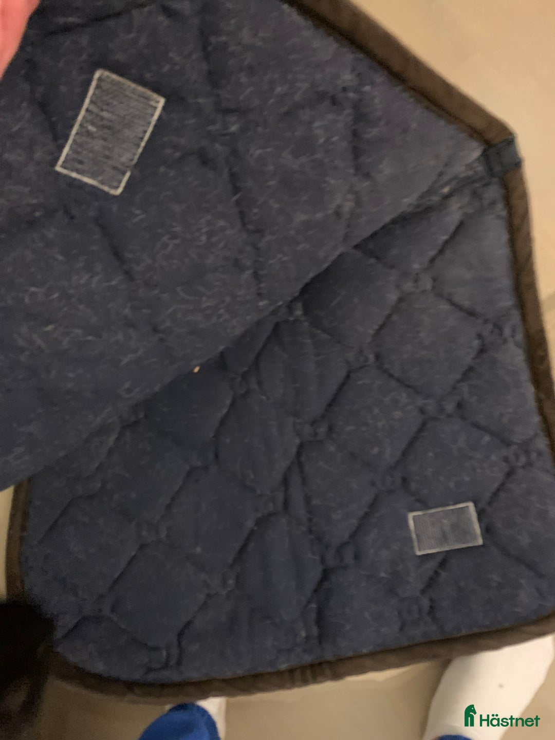 Schabrak & Vojlockar hästutrustning till salu: Equestrian Stockholm  i Norrköping - Annons 2