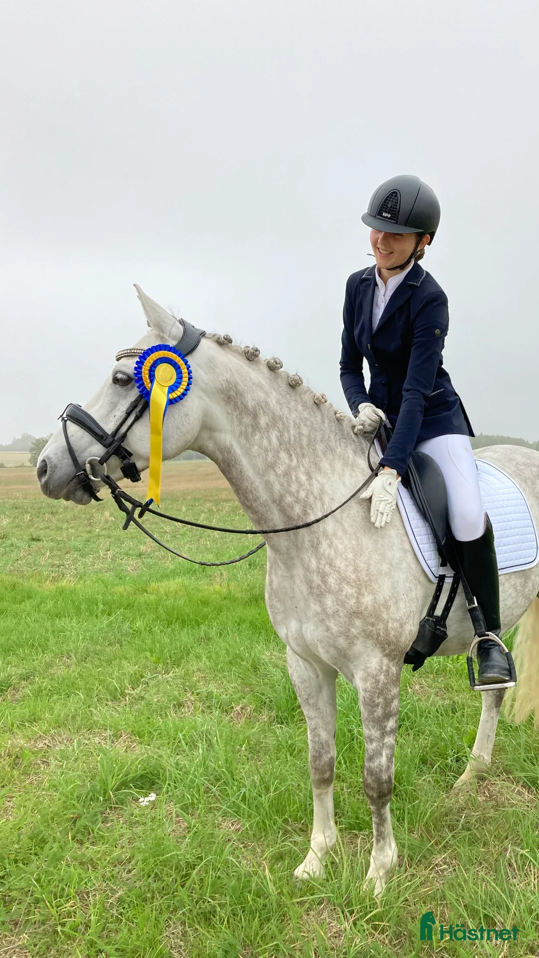 Dressyr hästar till salu: Dubbeltalang med utstrålning - Annons 1