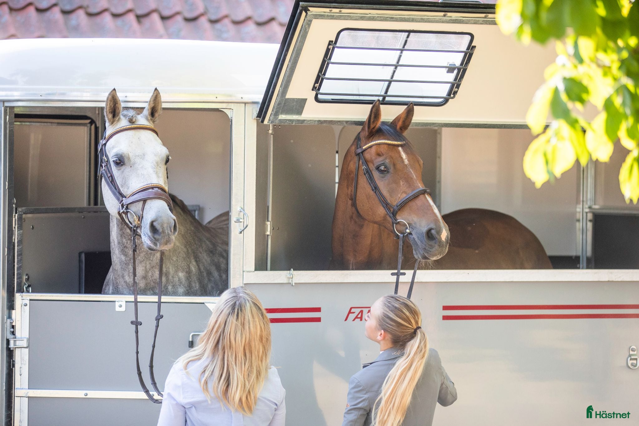 Hästtransporter  fordon & transport till salu: Fautras Oblic+2 för omgående leverans - Annons 13