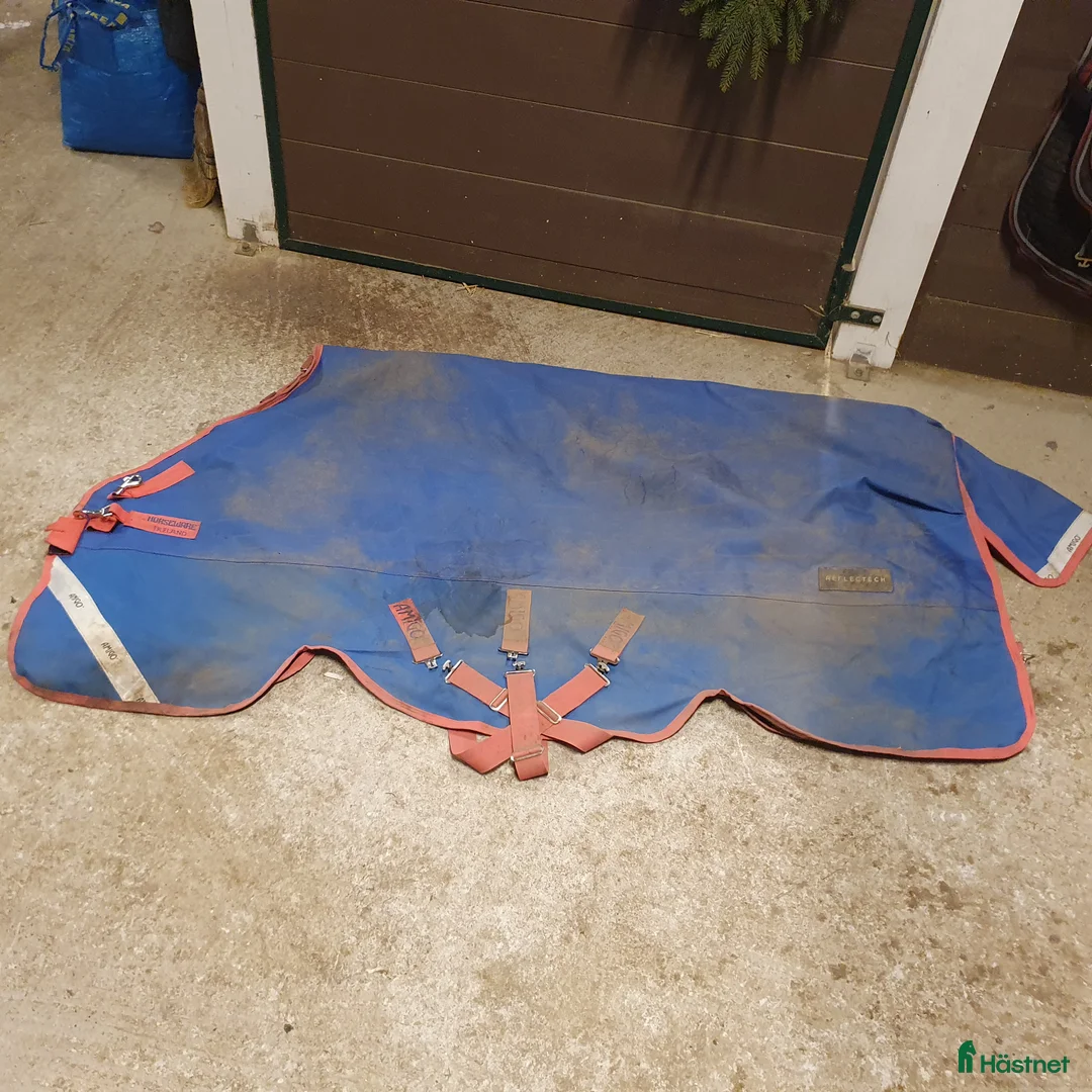 Täcken hästutrustning till salu: Amigo Bravo 12 plus 250g strl 6.3/140 - Annons 1