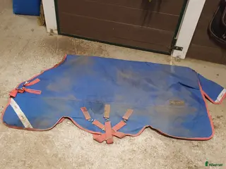 Täcken hästutrustning Amigo Bravo 12 plus 250g strl 6.3/140 - Annons 17