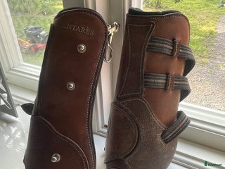 Benskydd hästutrustning till salu: Antares benskydd i Lidköping - Annons 2