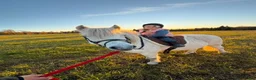 Allround hästar till salu: Trevlig ponny - Annons 1