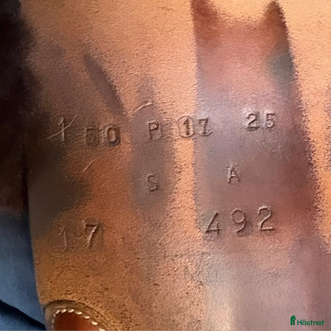 Sadlar hästutrustning till salu: Butet - Annons 2