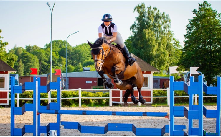  hästservice i Lidköping - Annons 19