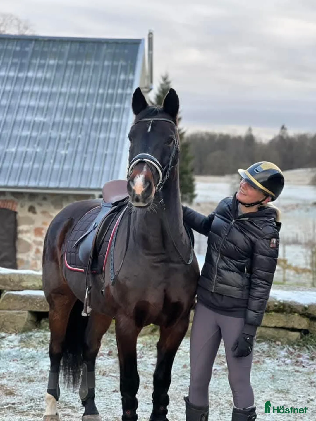Körning hästar till salu: Sportkörning/Ridning i Simlångsdalen - Annons 1