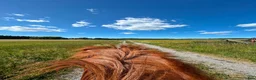  stallplats finnes: Lösdriftsplats för islandsvalacker- Vallentuna - Annons 6
