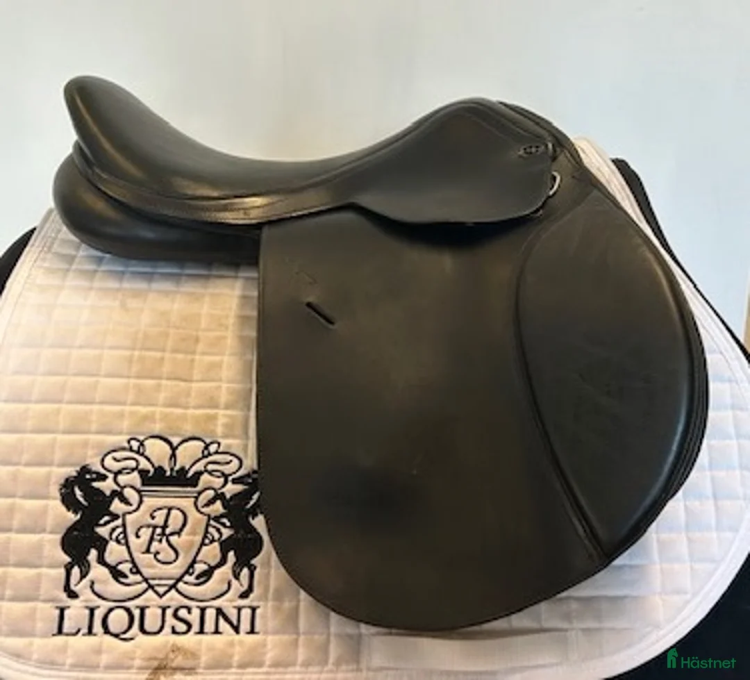 Sadlar hästutrustning till salu: Hoppsadel Santa Cruz  Celine 17,5" i Uppsala - Annons 1