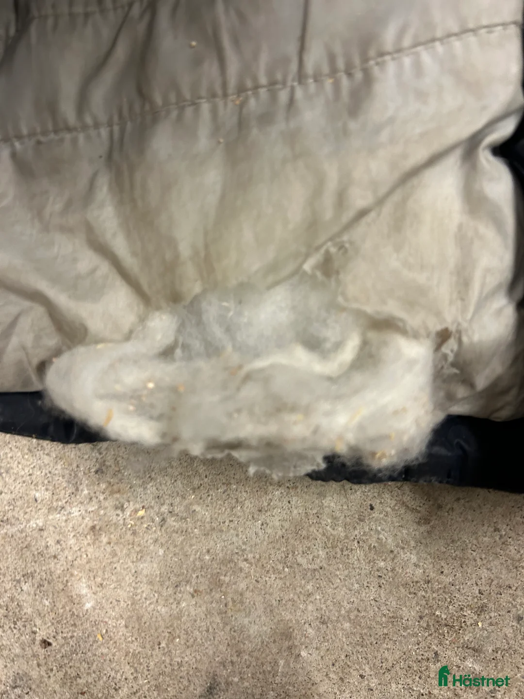 Jackor & Kavajer ryttarutrustning till salu: IUhip kappa!! - Annons 3