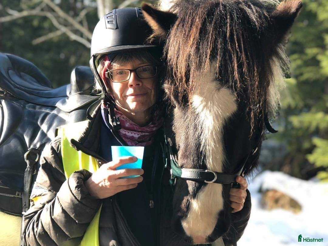  hästar Söt liten typ söker roligare hem! i Lysvik - Annons 9
