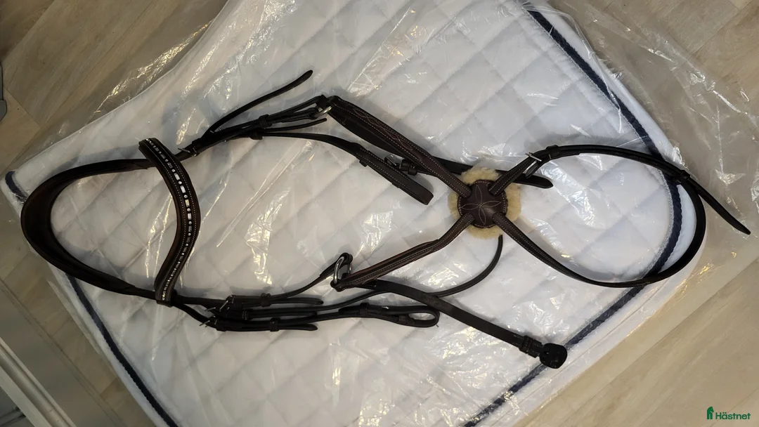 Träns hästutrustning till salu: Prestige träns i Årsunda - Annons 1