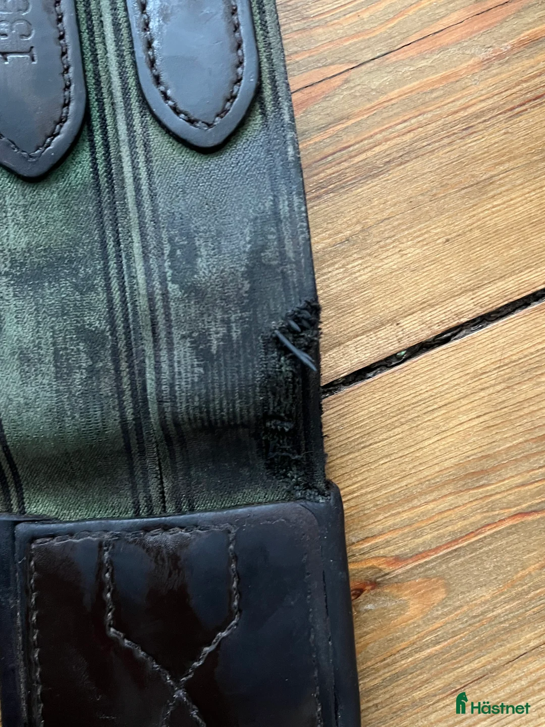 Sadeltillbehör hästutrustning till salu: Amerigo Protector Stud Girth GH26 - Annons 7