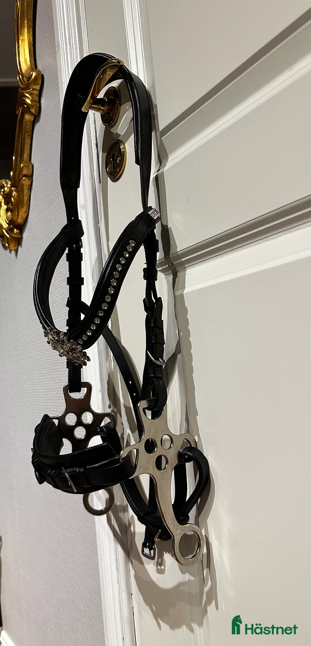 Träns hästutrustning till salu: Hackamore Träns  - Annons 2