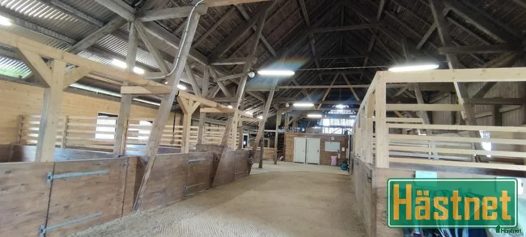  stallplats finnes: 2st Boxplatser lediga Kollektivt eller Fullservice i Fjärdhundra - Annons 3