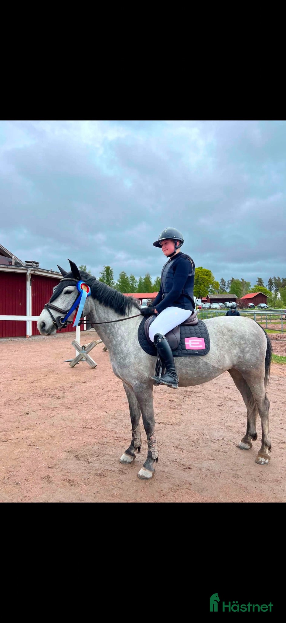  hästar Lovande tävlingsponny med det största hjärtat - Annons 1