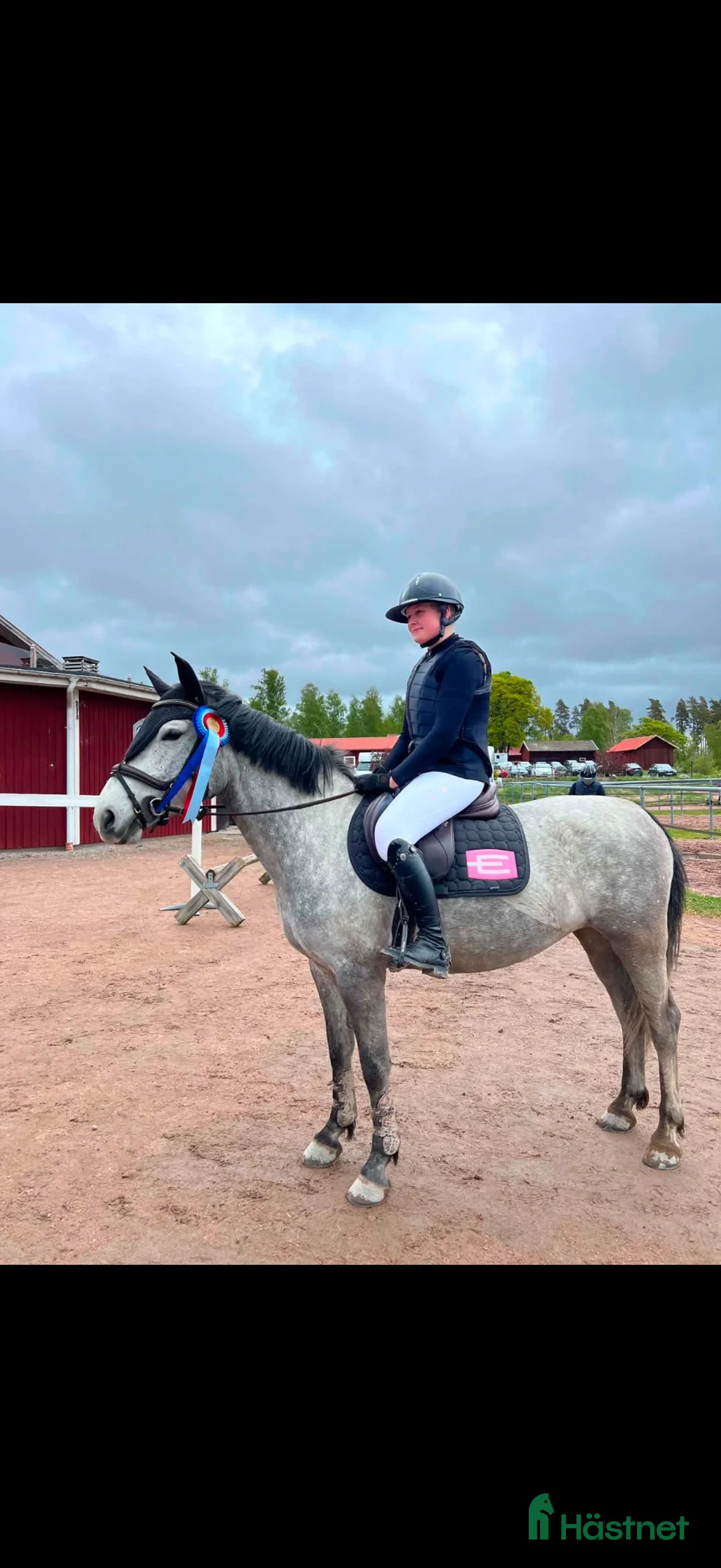 Hoppning hästar till salu: Lovande tävlingsponny med det största hjärtat i Köping - Annons 1