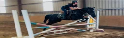 Hoppning hästar till salu: Jumping ponies  - Annons 14