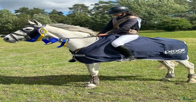  hästar i Norrköping - Annons 9