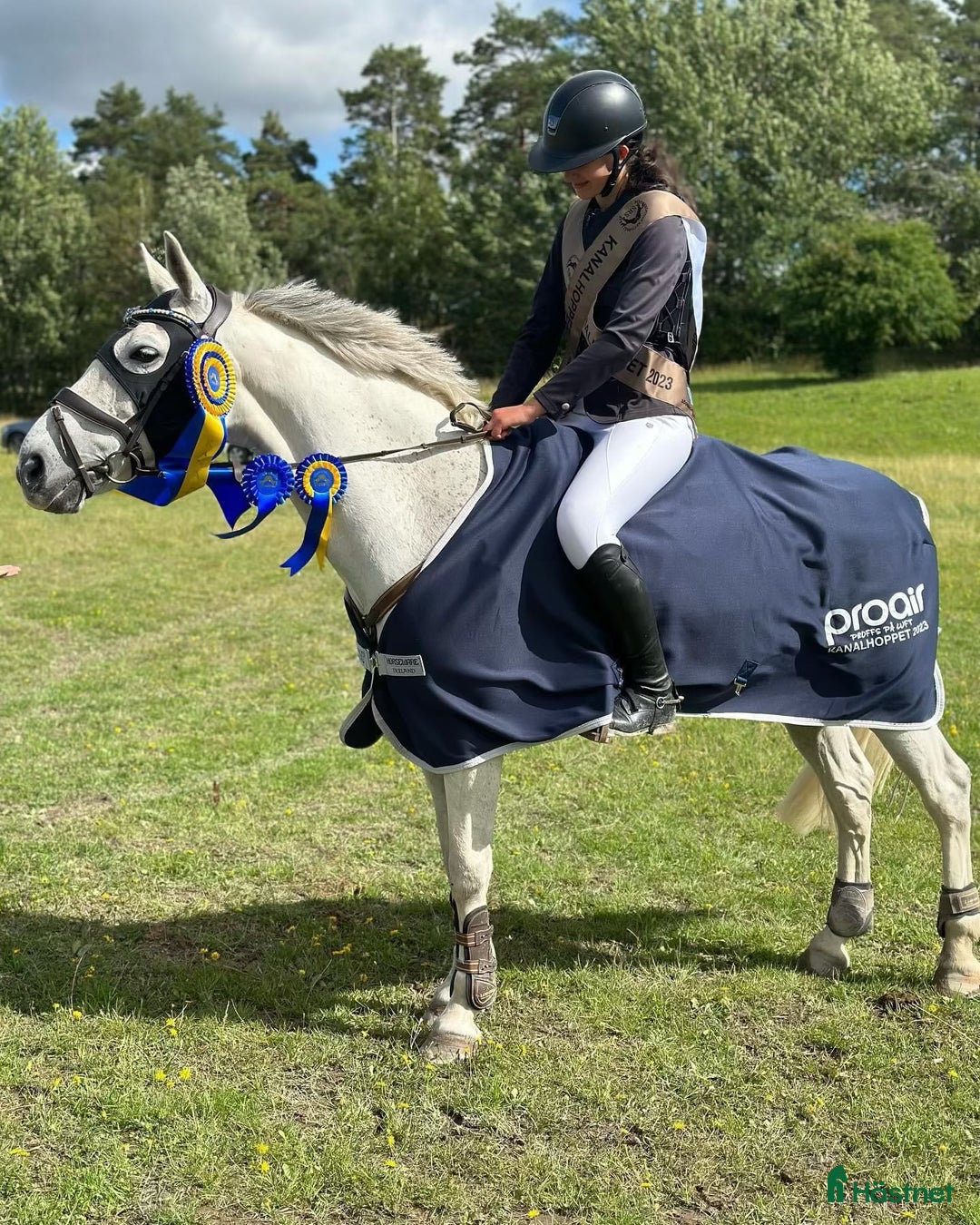 Hoppning hästar till salu: Tävlingsponny och bästa vän  i Norrköping - Annons 2