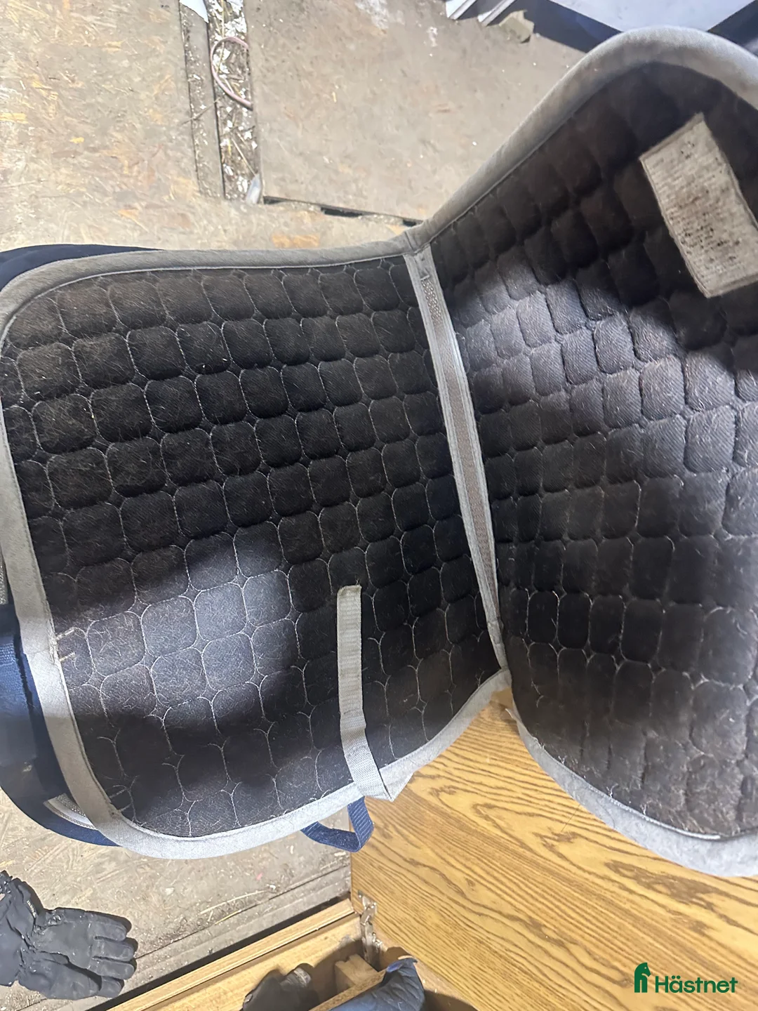 Övrig Hästutrustning hästutrustning till salu: Massa utrustning till salu - Annons 5