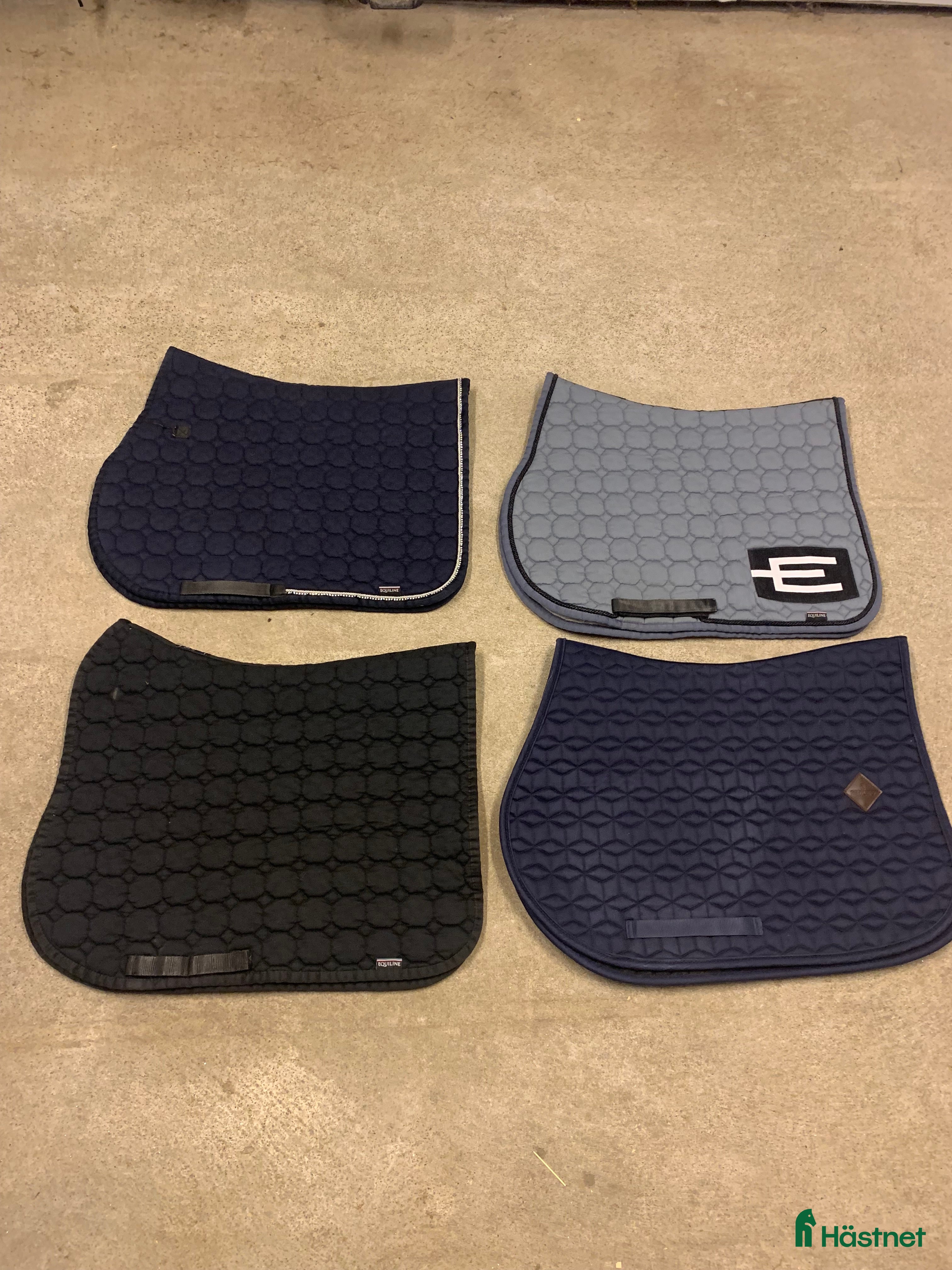 Schabrak & Vojlockar hästutrustning till salu: Märkesschabrak i Ödsmål - Annons 14