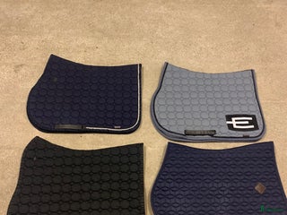 Schabrak & Vojlockar hästutrustning till salu: Märkesschabrak i Ödsmål - Annons 20