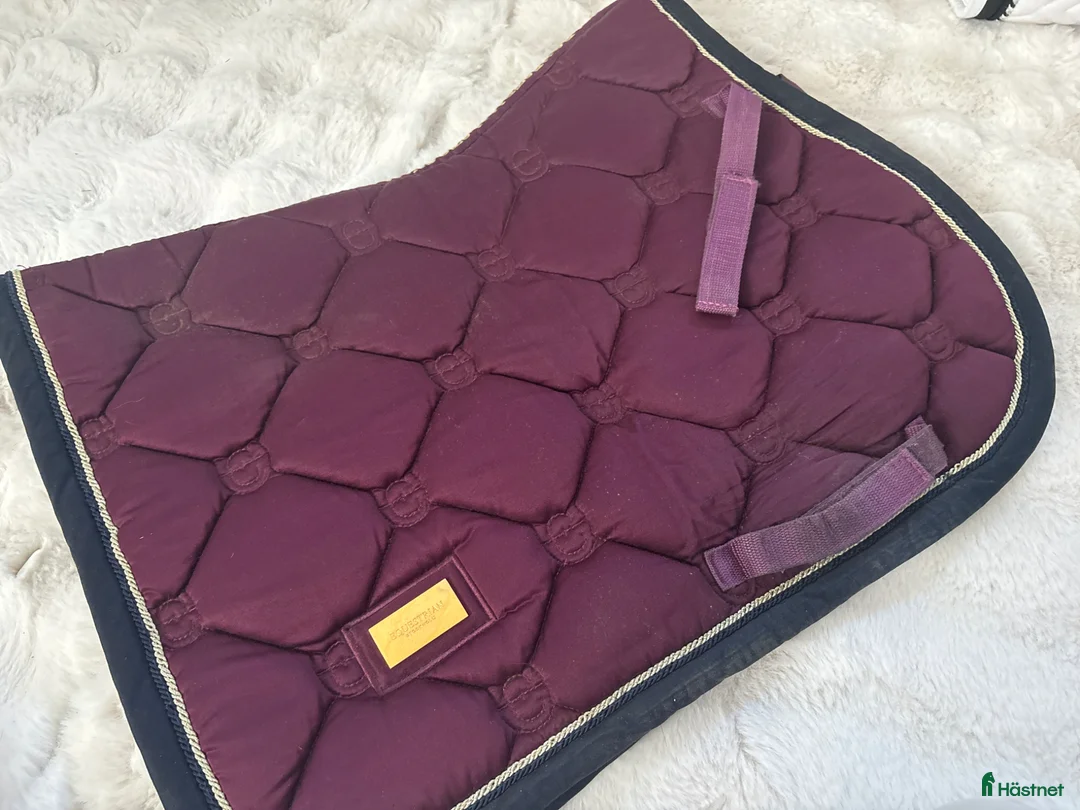 Schabrak & Vojlockar hästutrustning till salu: Es schabrak🌸 - Annons 2