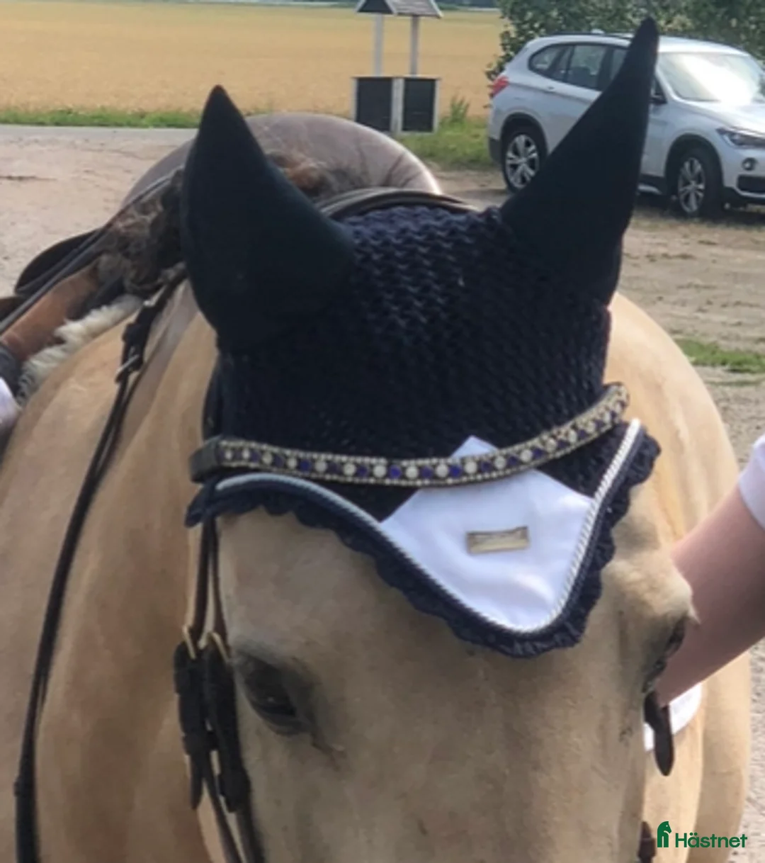Övrig Hästutrustning hästutrustning till salu: Equestrian Stockholm huva i Stockholm - Annons 3