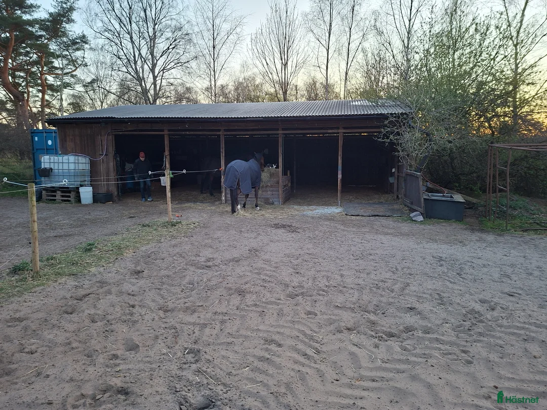  stallplats finnes: Lösdrift i Vomb - Annons 1