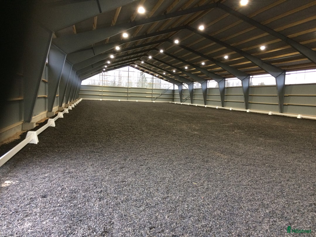  stallplats finnes: Lediga stallplatser, 2 ridhus, inga jourer i Vikingstad - Annons 1