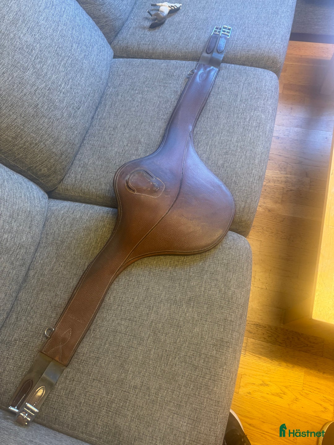 Sadeltillbehör hästutrustning till salu: Antares sadelgjord  i Solna - Annons 1