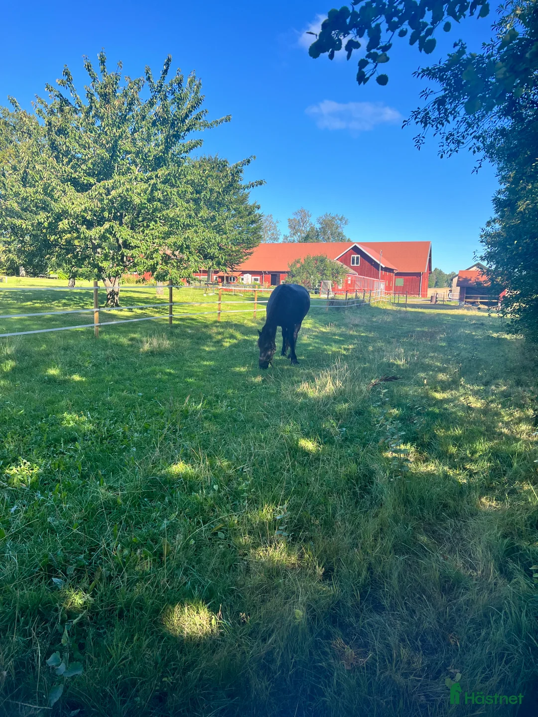  stallplats finnes: Stallplats Råda Björkbacken, Lidköping  - Annons 2