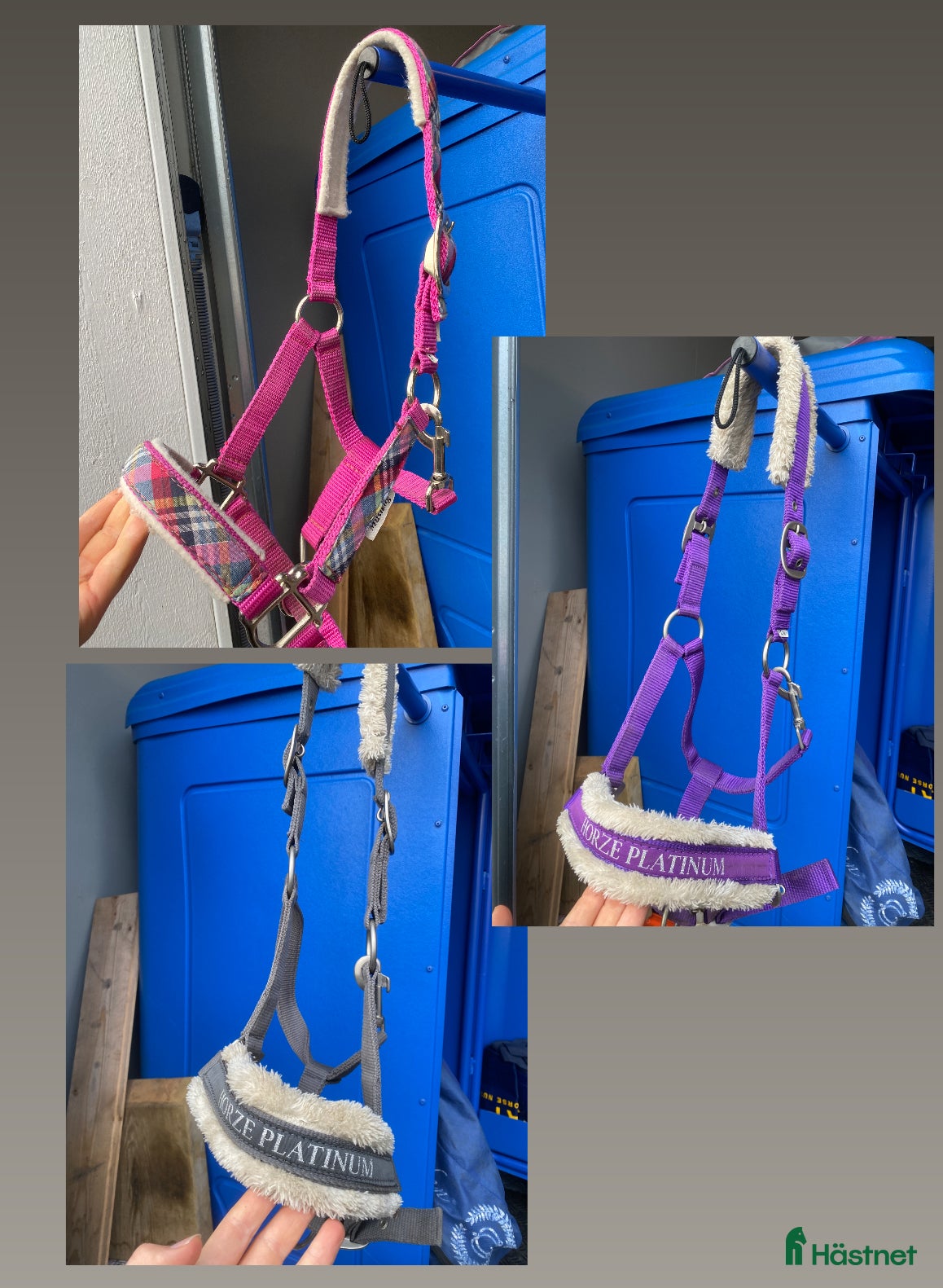 Övrig Hästutrustning hästutrustning till salu: Grimmor i Ytterby - Annons 4