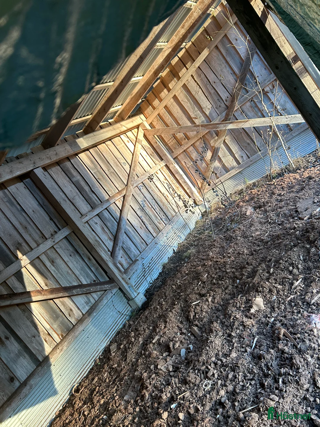  stallplats finnes: En stallplats alternativt 2 lösdriftplatser! - Annons 4