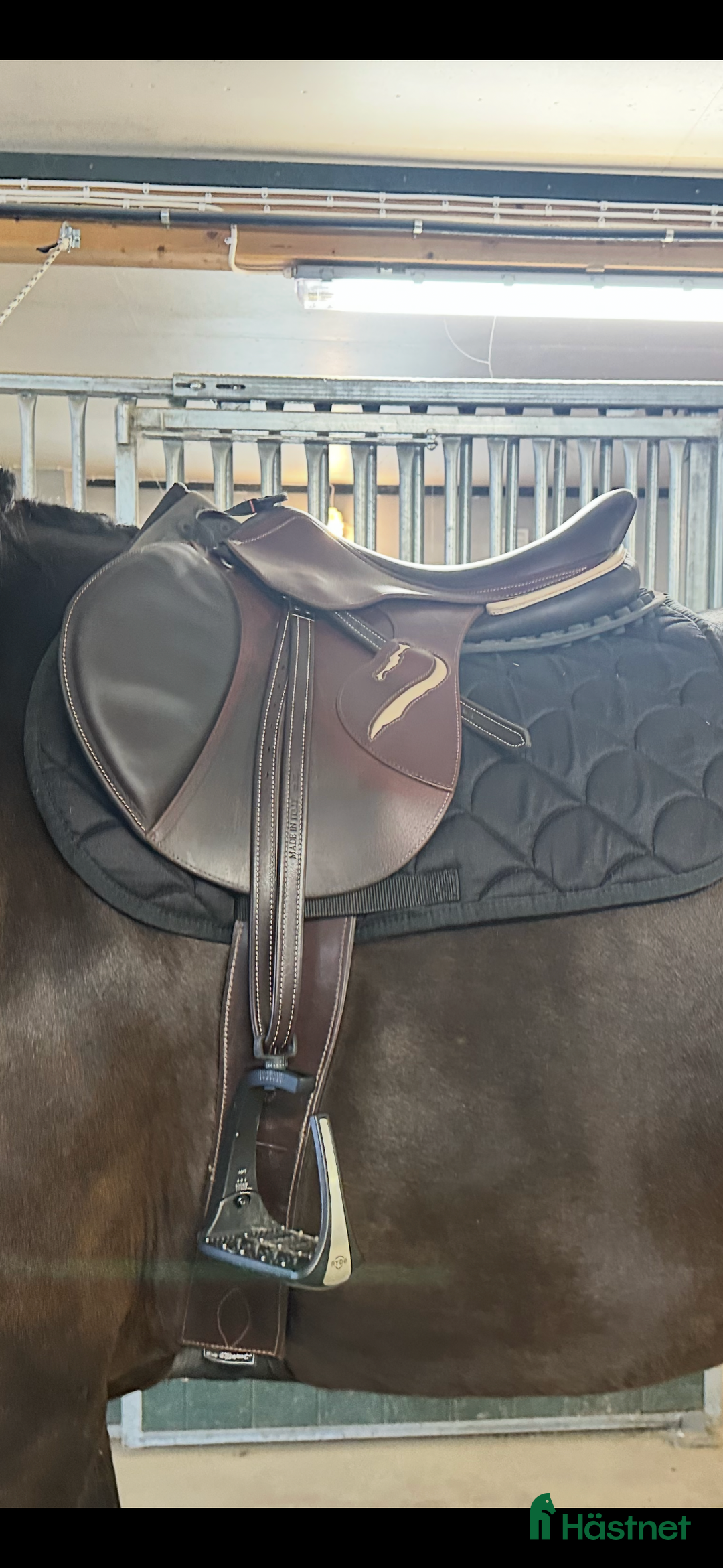 Sadlar hästutrustning till salu: Fin antares connexion  i Årsunda - Annons 2