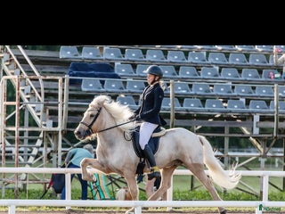 hästar i Finspång - Annons 13