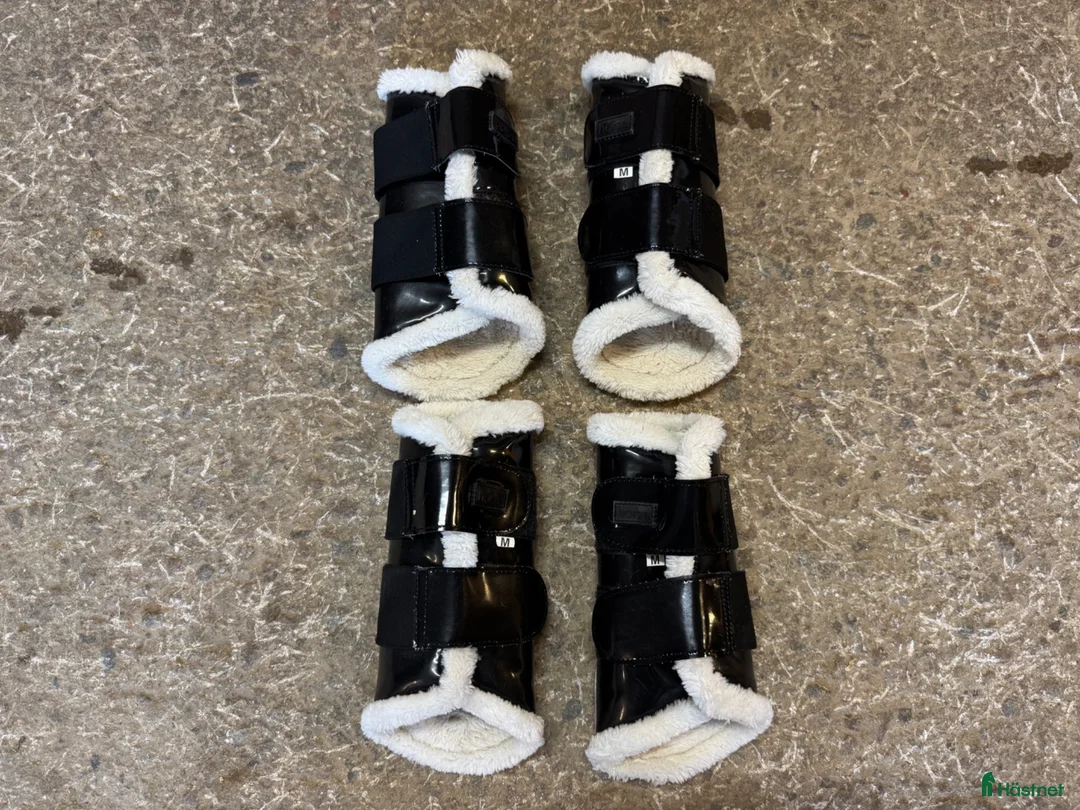 Benskydd hästutrustning till salu: Benskydd stl M - Annons 1